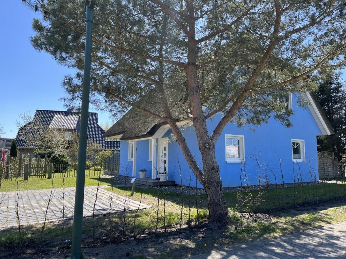 Ferienhaus De Niege Leive บอร์น ภายนอก รูปภาพ